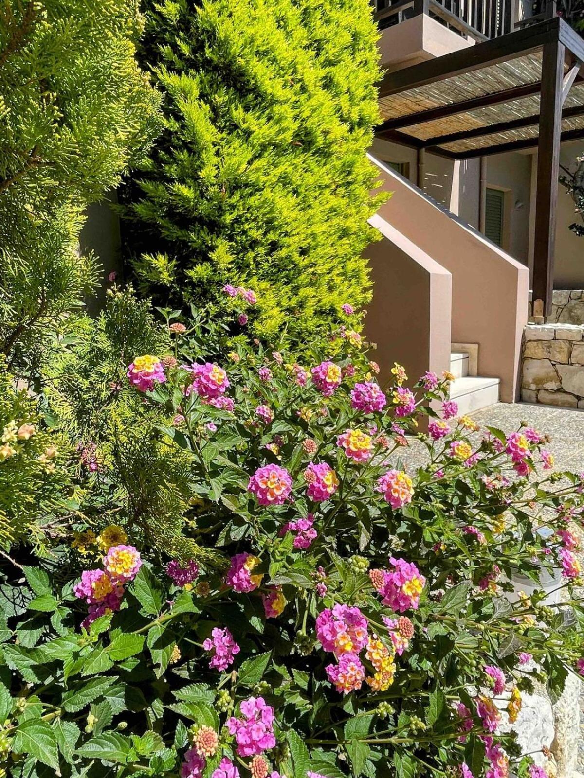 פלאקיאס Annamaria Sea Side View Studio- 25M From The Beac מראה חיצוני תמונה